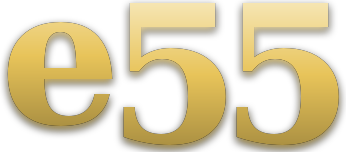 e55 logo